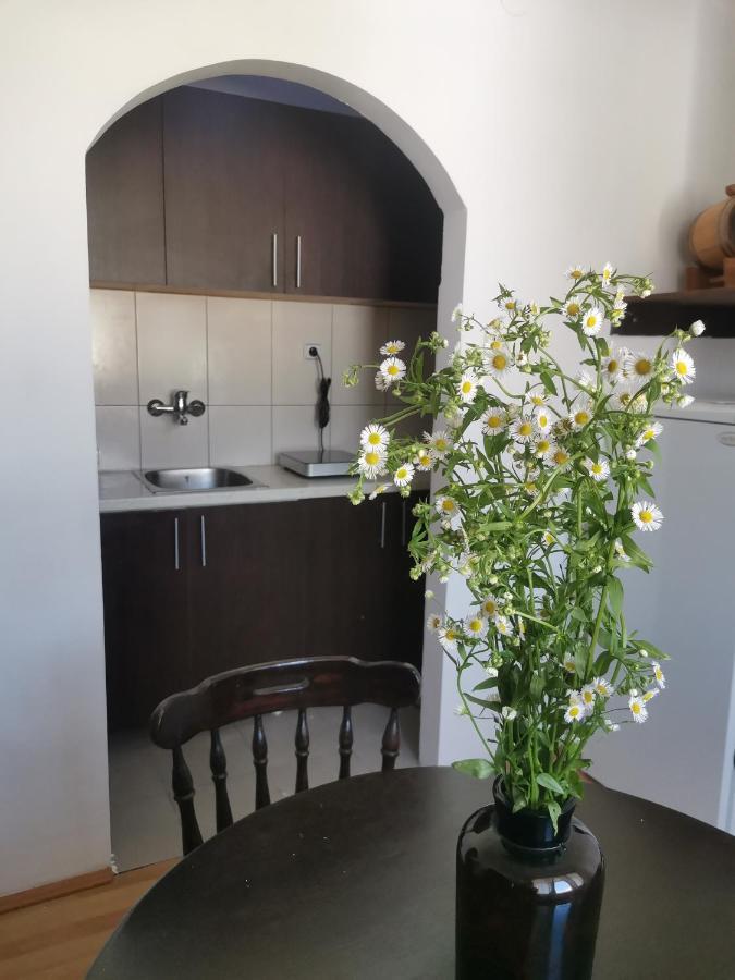 Apartmán Faris Donji Milanovac Exteriér fotografie