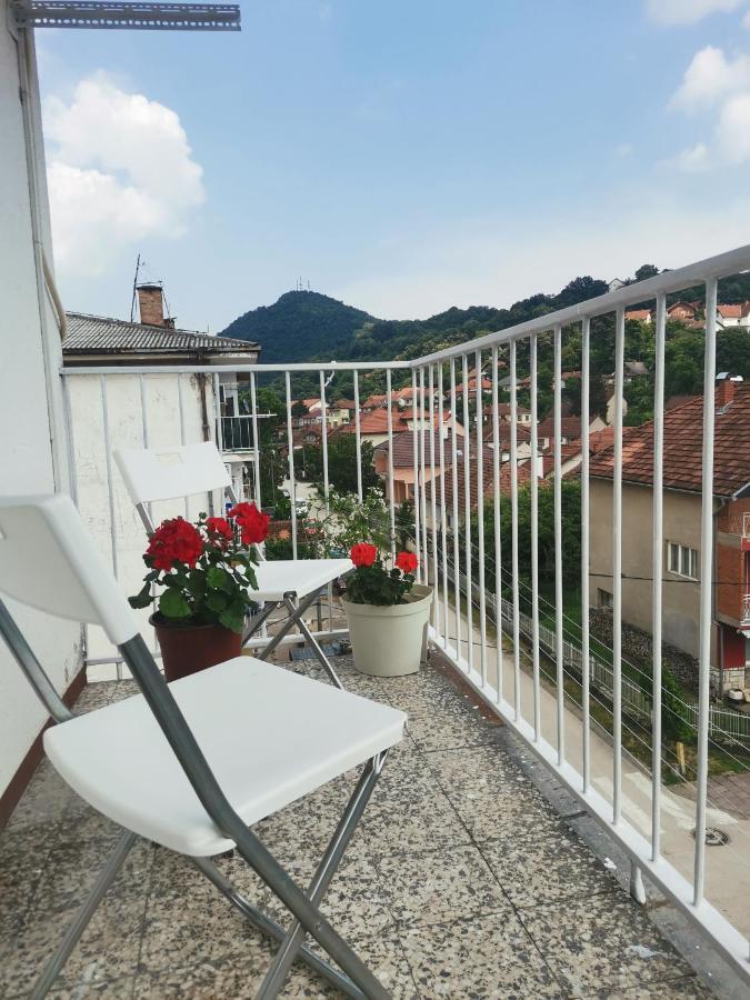 Apartmán Faris Donji Milanovac Exteriér fotografie