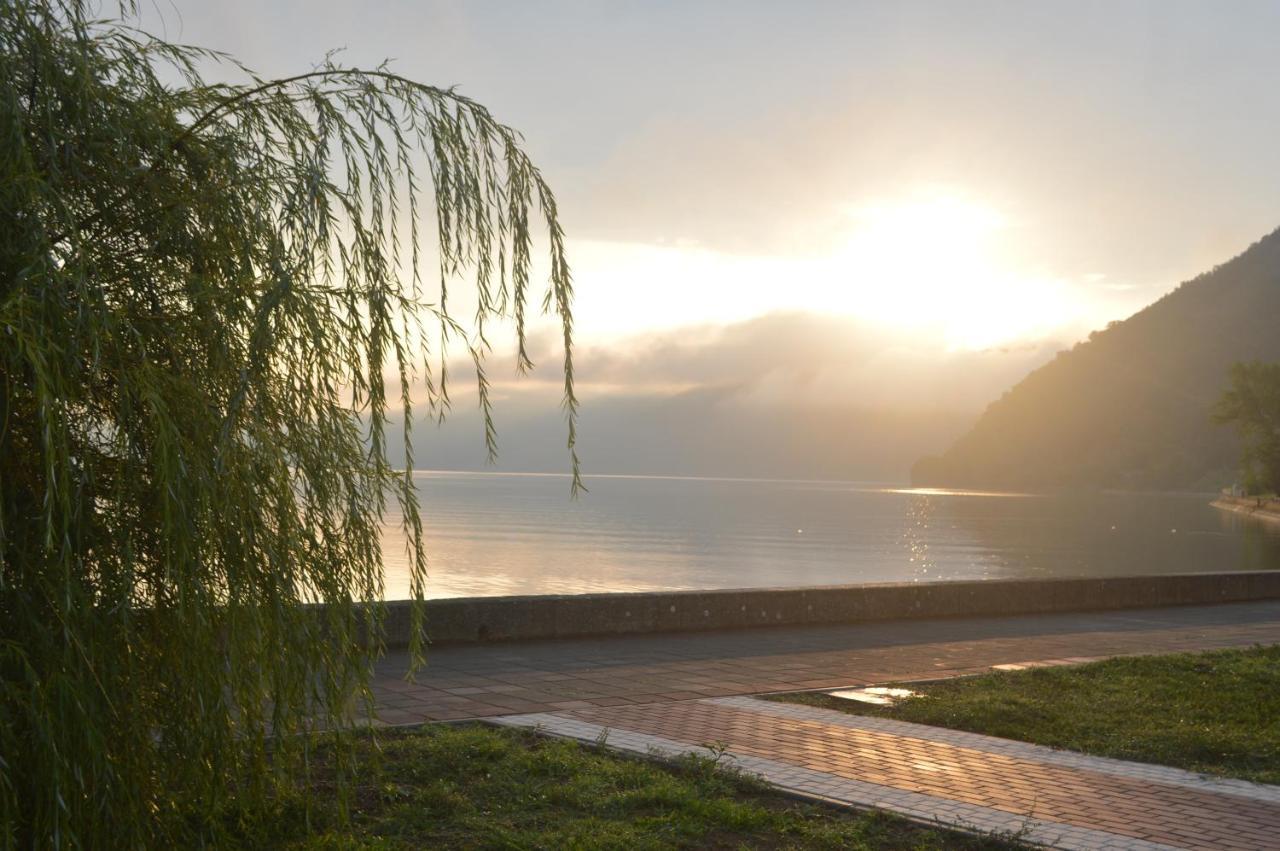 Apartmán Faris Donji Milanovac Exteriér fotografie